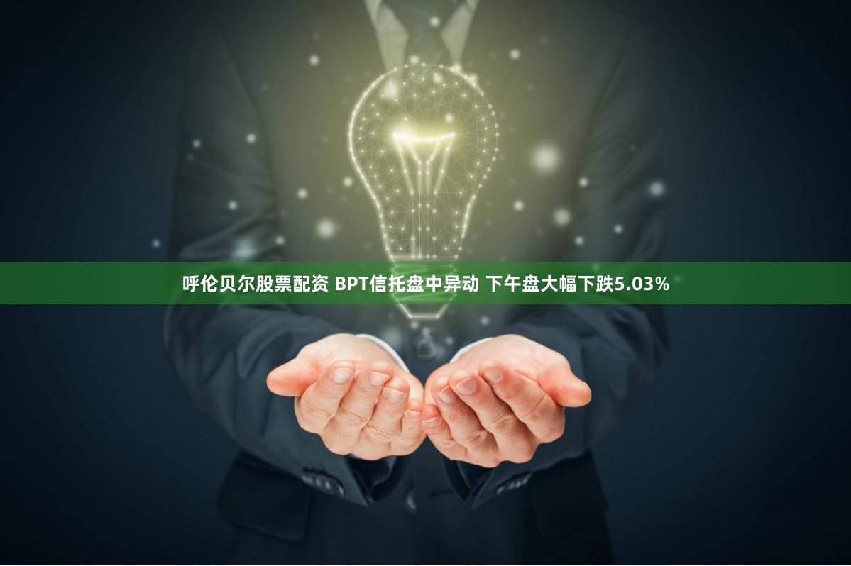 呼伦贝尔股票配资 BPT信托盘中异动 下午盘大幅下跌5.03%