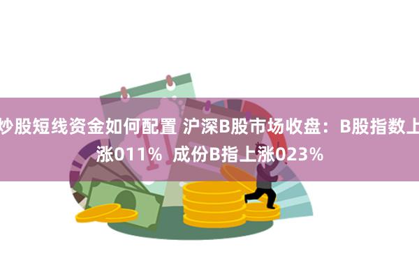 炒股短线资金如何配置 沪深B股市场收盘：B股指数上涨011%  成份B指上涨023%